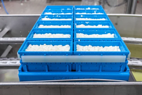 Block Moulds for Feta & White Cheeses