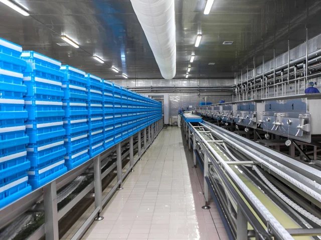 Continuous Drainage & Cheese Formation