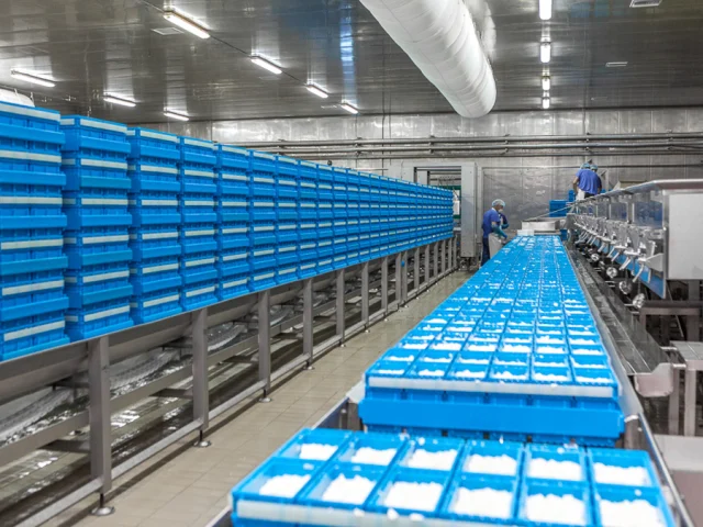 Continuous Drainage & Cheese Formation