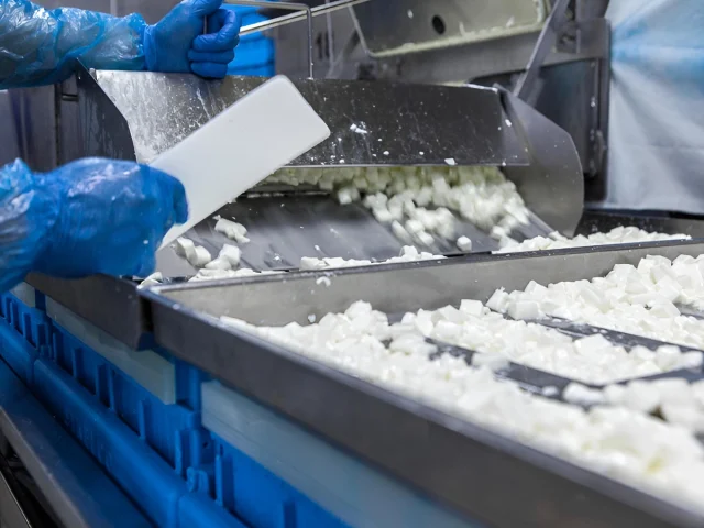 Rapid Curd Filling & Mould Loading